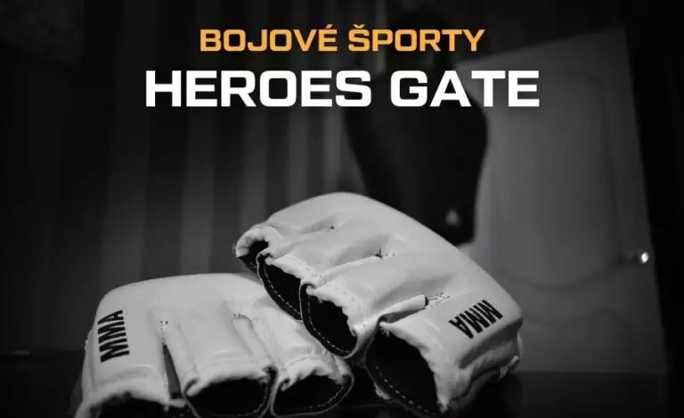 Heroes Gate program, výsledky