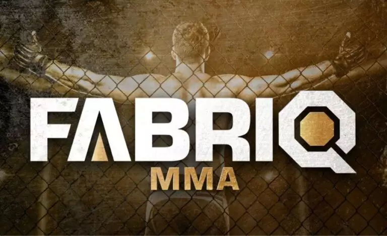 Fabriq MMA program, výsledky, fight card,