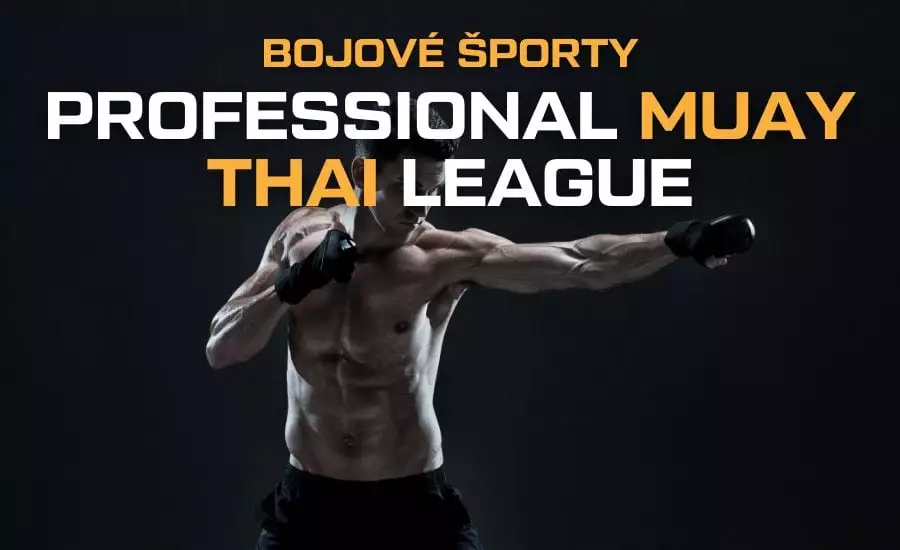 Professional muay thai league